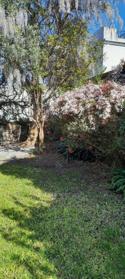 Casa En Barrio Historico Villa Colonia del Sacramento Eksteriør billede