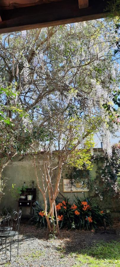 Casa En Barrio Historico Villa Colonia del Sacramento Eksteriør billede